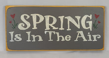 Load image into Gallery viewer, Spring Is In The Air painted Wooden Sign
